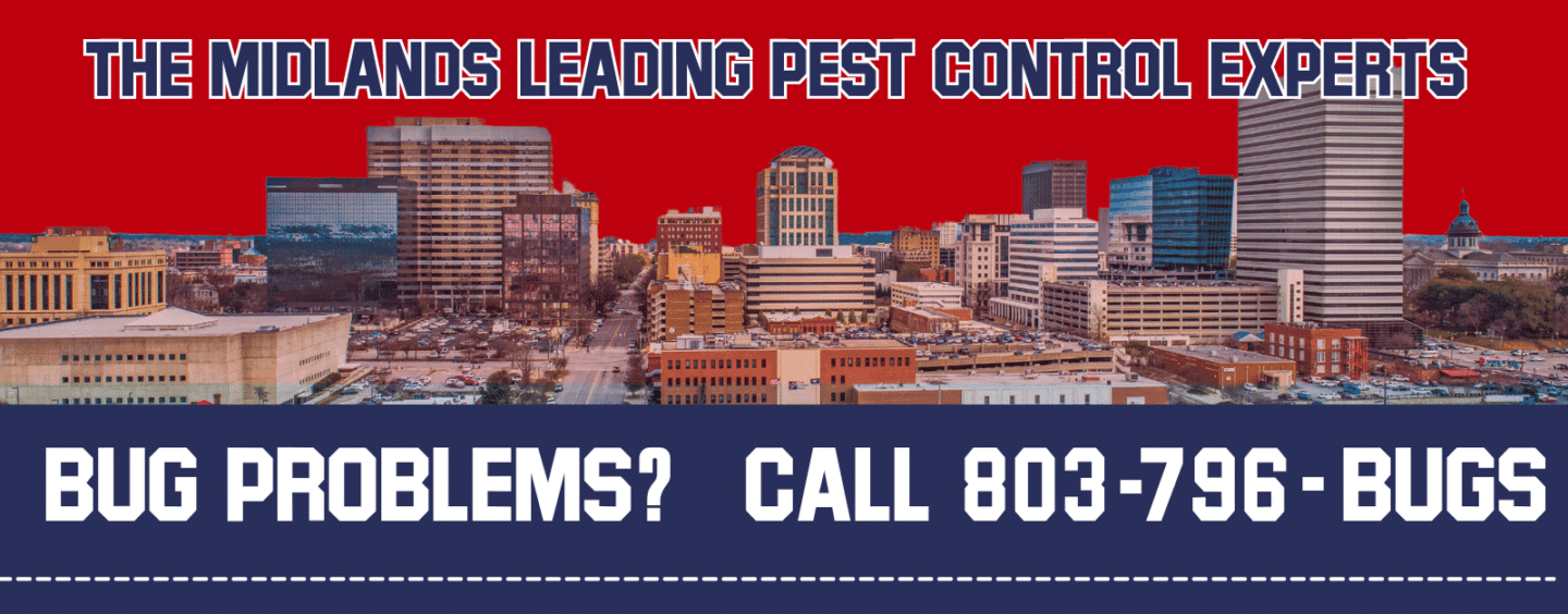 Bug Problems? Call 803-796-2847