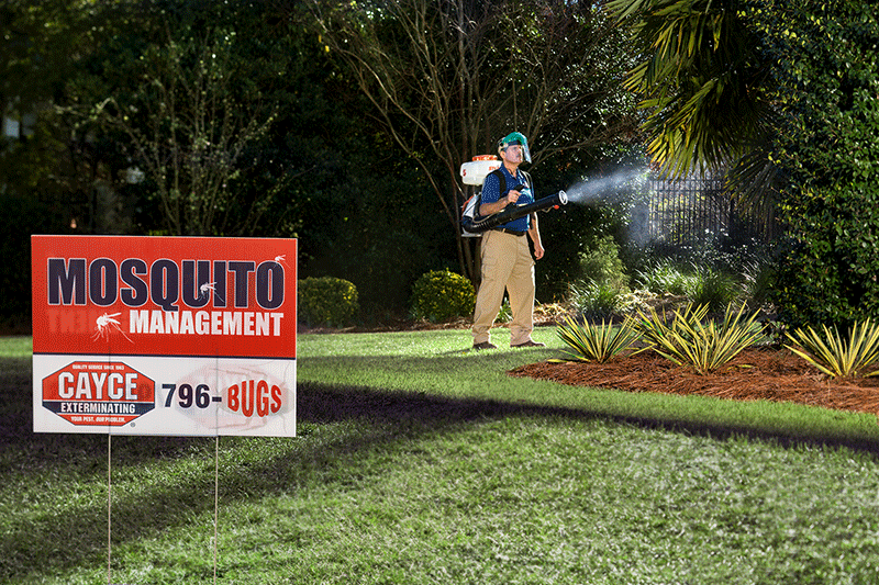 Mosquito Pest Control near me