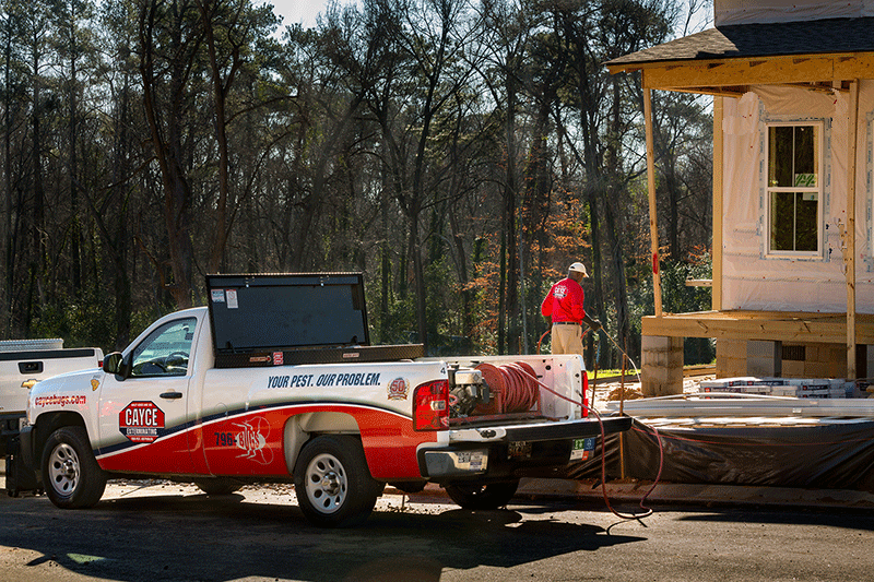 termite-pretreatment