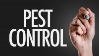 pest control in Columbia SC