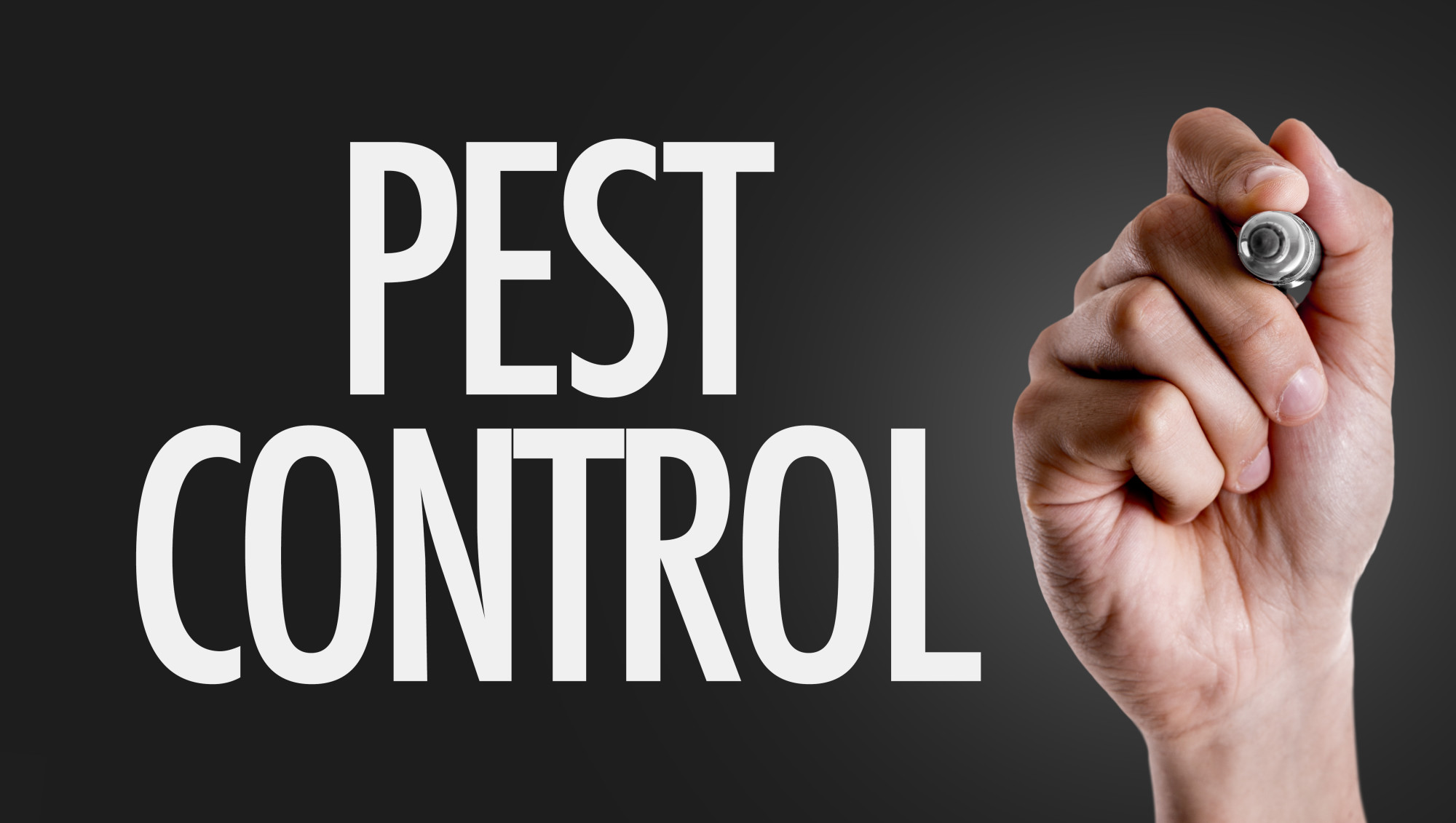 pest control in Columbia SC