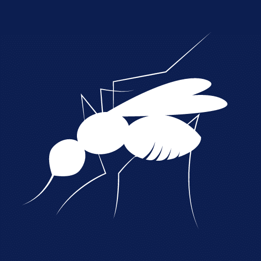 H-Mosquito