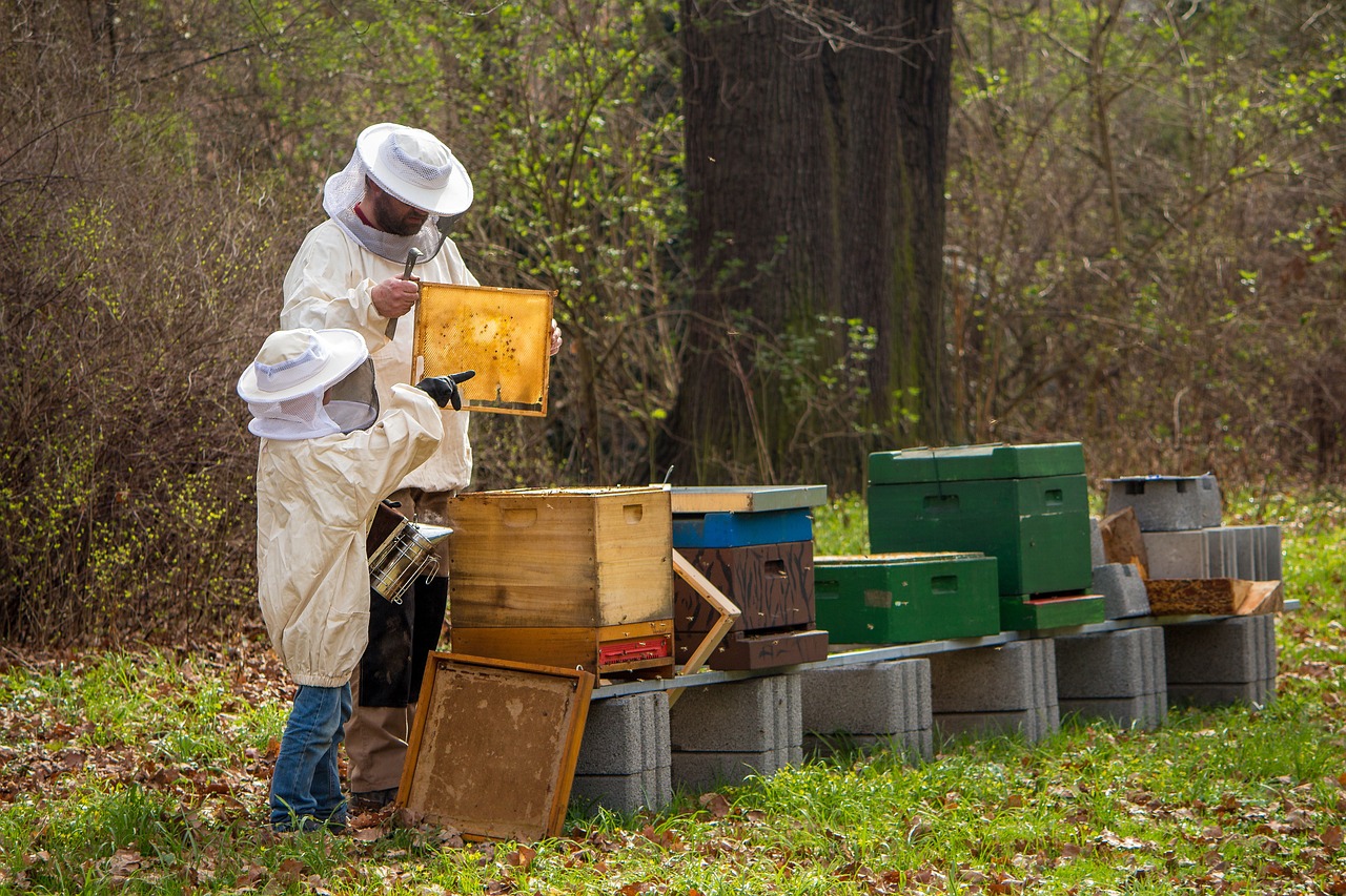 beekeeper-4426003_1280