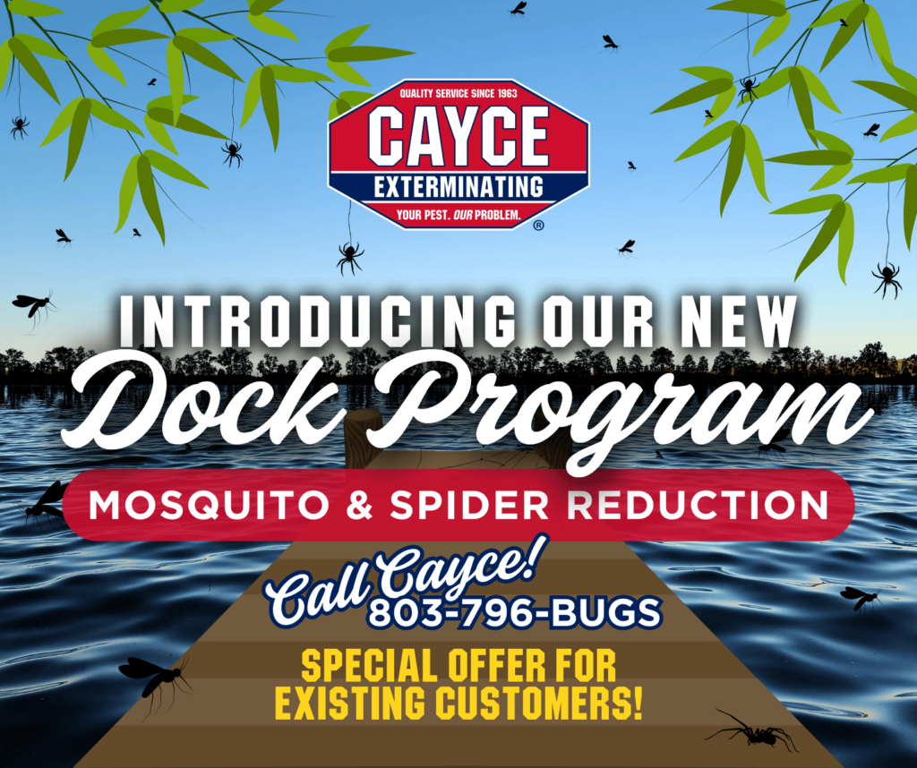 "mosquito and spider free dock"; "pest-free dock on Lake Murray"; "Cayce Exterminating mosquito control"; "spider and mosquito treatment for docks"; "family-friendly mosquito treatment Lake Murray"; "outdoor dock mosquito and spider protection"; "Cayce Exterminating pest control for docks"; "safe mosquito reduction on water"; "enjoyable dock time without mosquitoes and spiders"; "affordable dock mosquito control services"